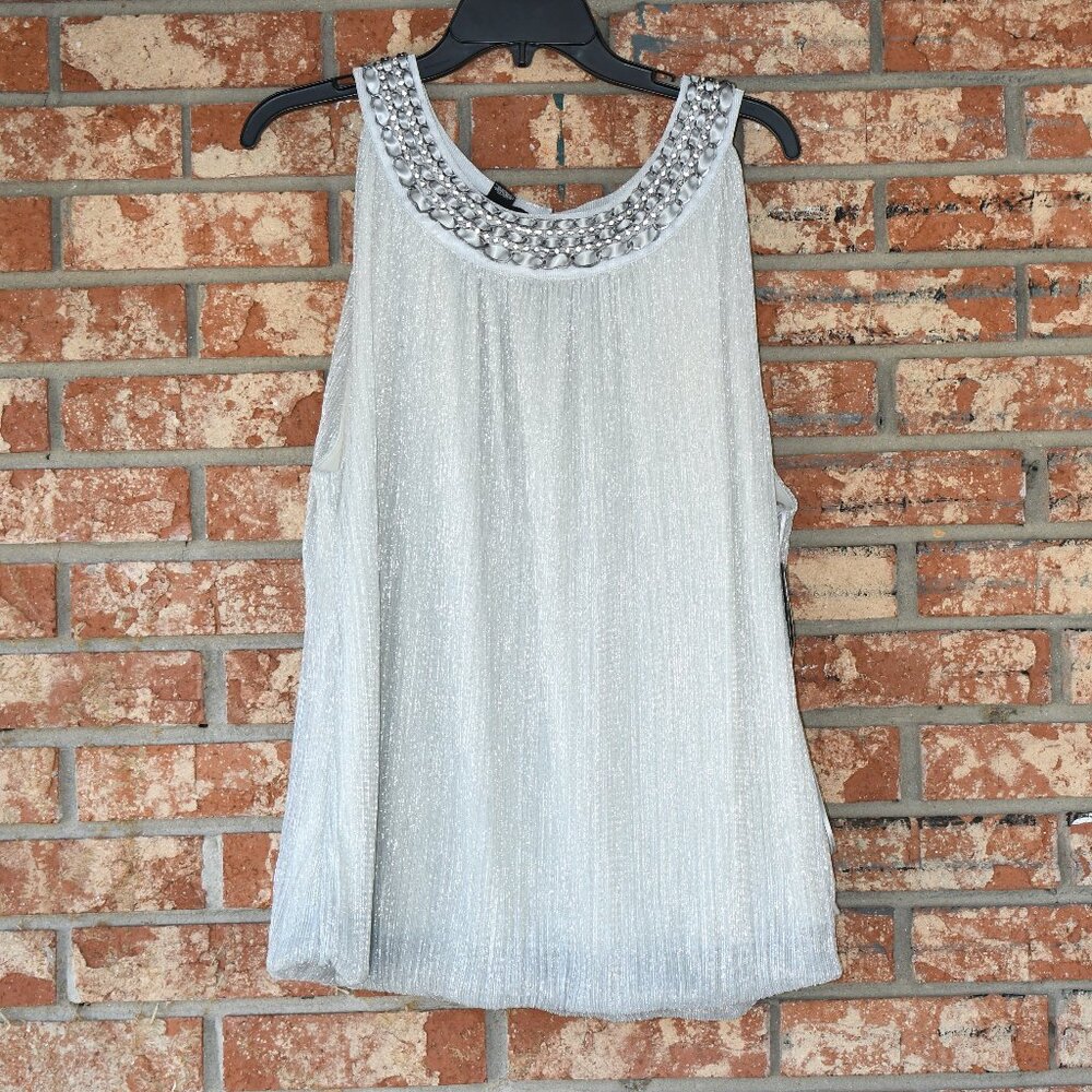 Alfani Woman Silver Top